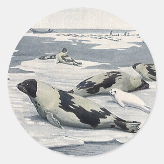 wilde dieren, ijsbergen in de zeehaven ronde sticker (Voorkant)