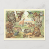 Wilde dieren in Afrika Briefkaart (Voorkant)