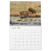 Wilde dieren in Afrika Kalender (Jan 2027)