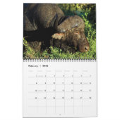 Wilde dieren in Afrika Kalender (Feb 2026)