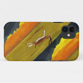 Wilde dieren in de zon Case-Mate iPhone case (Achterkant (horizontaal))