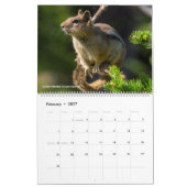 Wilde dieren in het noordwesten van de VS Kalender (Feb 2027)