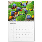Wilde dieren in Nerang 2016-kalender Kalender (Mar 2026)