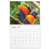 Wilde dieren in Nerang 2016-kalender Kalender (Feb 2027)