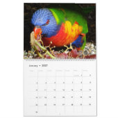 Wilde dieren in Nerang 2016-kalender Kalender (Jan 2027)