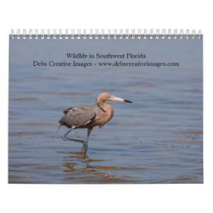 Wilde dieren in Southwest Florida 2026 Kalender