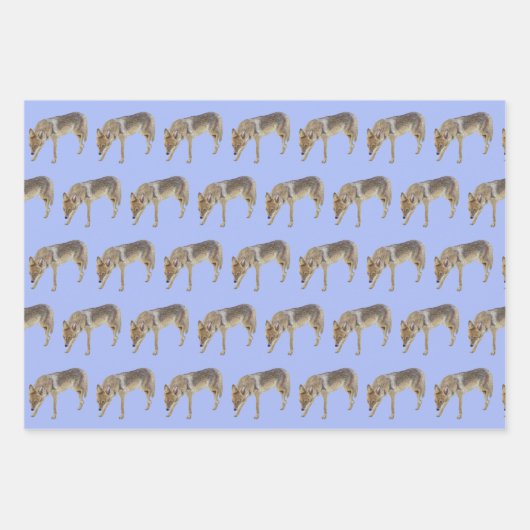 Wilde dieren inpakpapier vel (Voorkant 3)