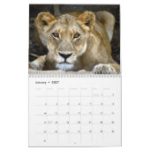 WILDE DIEREN - KALENDAR KALENDER (Jan 2027)