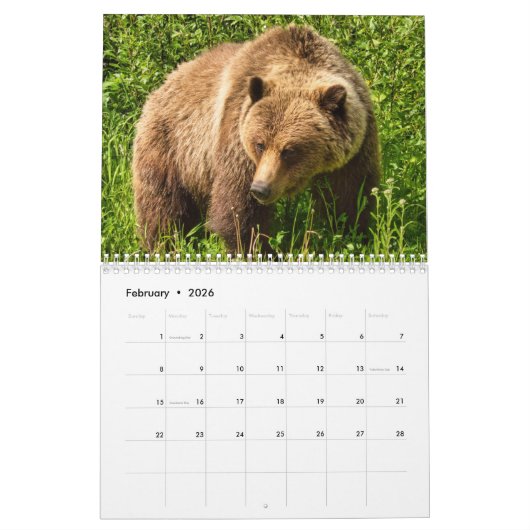 Wilde dieren kalender (Feb 2026)