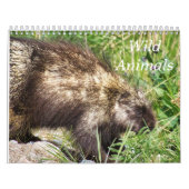 Wilde dieren kalender (Hoes)
