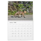 Wilde dieren kalender (Jan 2026)