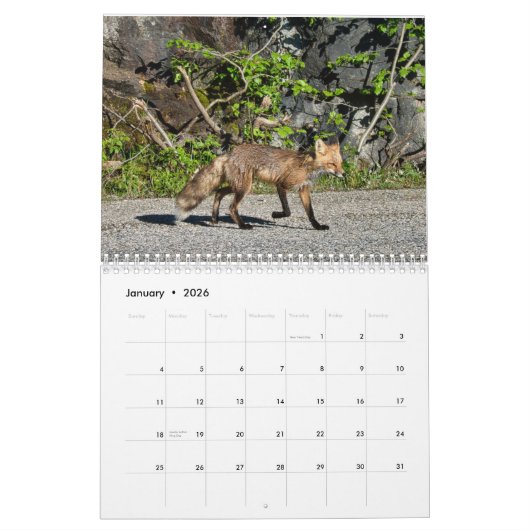Wilde dieren kalender (Jan 2026)