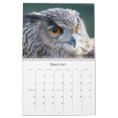 Wilde dieren kalender 2012 (Mar 2027)