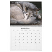 Wilde dieren kalender 2012 (Feb 2027)