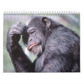 Wilde dieren kalender 2012 (Hoes)