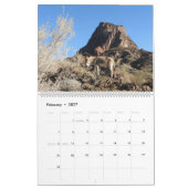 Wilde Dieren Kalender, wilde ezels, woestijn Kalender (Feb 2027)