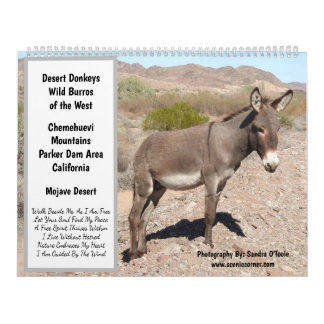 Wilde Dieren Kalender, wilde ezels, woestijn Kalender