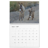 Wilde Dieren Kalender, wilde ezels, woestijn Kalender (Mar 2027)