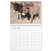 Wilde Dieren Kalender, wilde ezels, woestijn Kalender (Jan 2027)