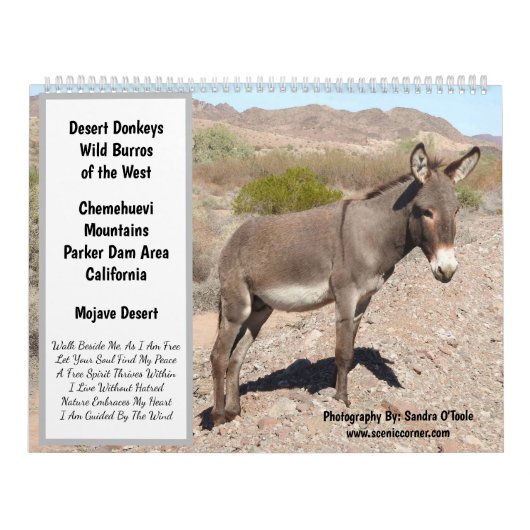 Wilde Dieren Kalender, wilde ezels, woestijn Kalender (Hoes)