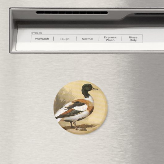  wilde dieren, Mallard Duck Magneet (Insitu (Vaatwasser))