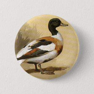  wilde dieren, Mallard Duck Ronde Button 5,7 Cm