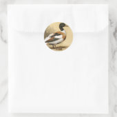  wilde dieren, Mallard Duck Ronde Sticker (Tas)