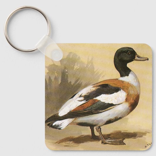  wilde dieren, Mallard Duck Sleutelhanger (Voorkant)