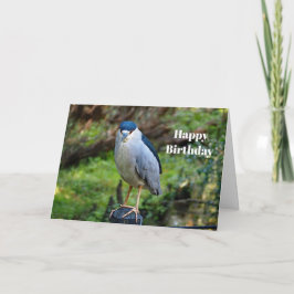Wilde dieren Nachtelijke Heron Foto Birthday Kaart