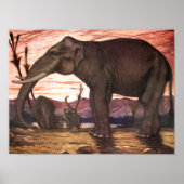 wilde dieren, olifant van Louis Sargent Poster (Voorkant)
