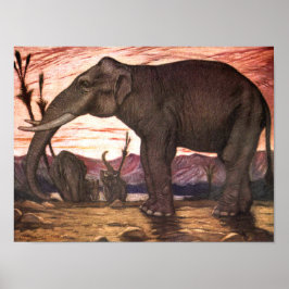  wilde dieren, olifant van Louis Sargent Poster