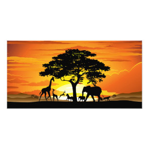 Wilde dieren op Afrikaanse savanne zonsondergang Foto Afdruk