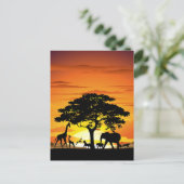 Wilde dieren op de Afrikaanse Savanna Sunset Briefkaart (Staand voorkant)
