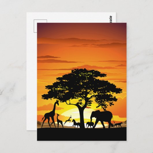 Wilde dieren op de Afrikaanse Savanna Sunset Briefkaart (Voorkant / Achterkant)