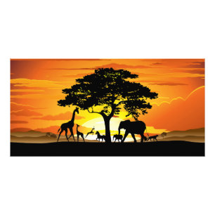 Wilde dieren op de Afrikaanse Savanna Sunset Foto Afdruk