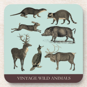 Wilde Dieren Plastic Onderzetter Set