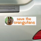 Wilde dieren : red de orang - oetan bumpersticker (Op auto)