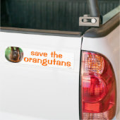 Wilde dieren : red de orang - oetan bumpersticker (Op Truck)
