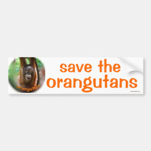 Wilde dieren : red de orang - oetan bumpersticker