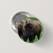 Wilde dieren  ronde button 3,2 cm (Voorkant /achterkant)