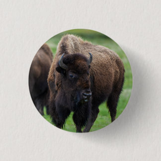 Wilde dieren  ronde button 3,2 cm