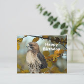 Wilde dieren Roodstaartbuizerd Herfst Foto Verjaar Briefkaart (Staand voorkant)