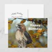 Wilde dieren Roodstaartbuizerd Herfst Foto Verjaar Briefkaart (Voorkant / Achterkant)