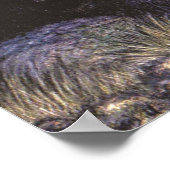  wilde dieren, Sloveense Beren van Louis Sargent Poster (Hoek)