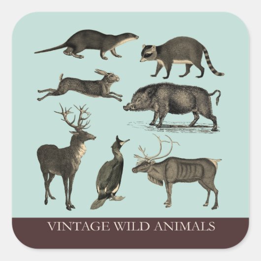 wilde dieren Sticker (Voorkant)