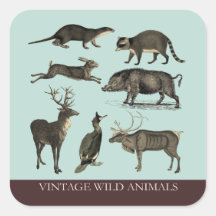  wilde dieren Sticker