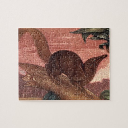  wilde dieren, Treeshrew van Louis Sargent Legpuzzel (Horizontaal)