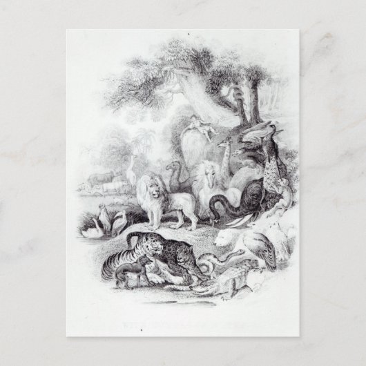 Wilde dieren uit 'Een geschiedenis van de Aarde' Briefkaart (Voorkant)