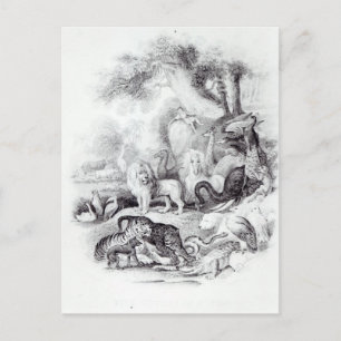 Wilde dieren uit 'Een geschiedenis van de Aarde' Briefkaart