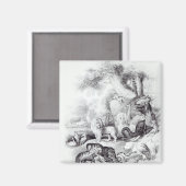 Wilde dieren uit 'Een geschiedenis van de Aarde' Magneet (Voorkant / Achterkant)
